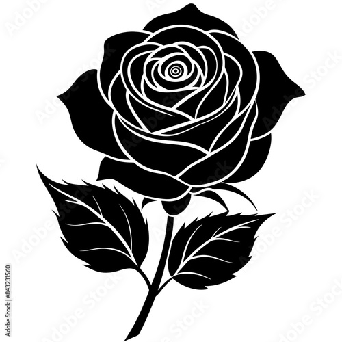 rose on black