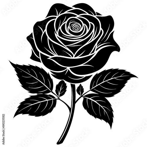 black and white rose