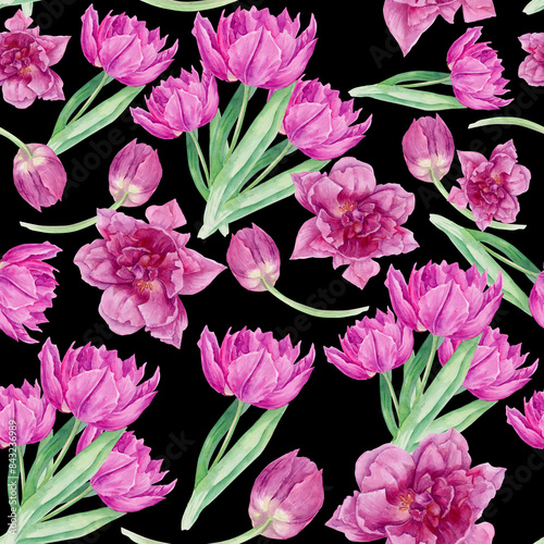 Pink tulips on a black background. Pattern with spring flowers, petals and buds. Watercolor illustration.