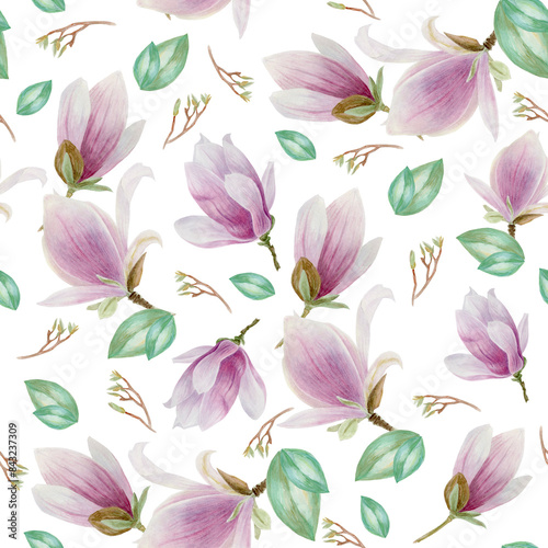 Pink magnolias on a white background. Pattern with spring flowers, branches and green leaves. Watercolor illustration. 