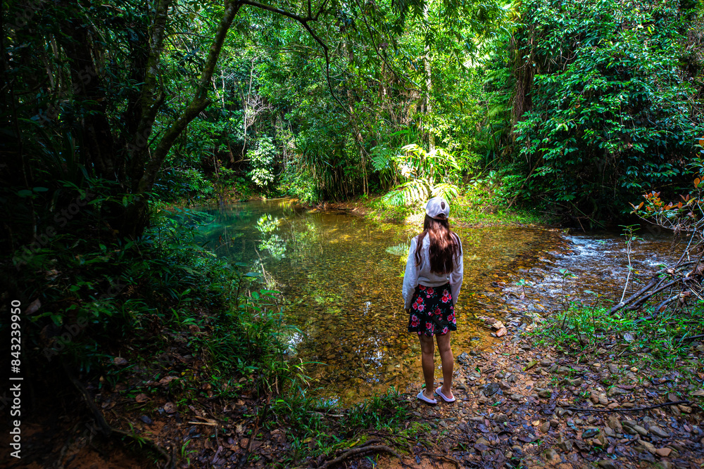 long-haired girl stands on the edge of small pond in tropical daintree rainforest; hiking through jungle in queensland long-haired girl stands on the edge of small pond in tropical daintree rainforest; hiking through jungle in queensland