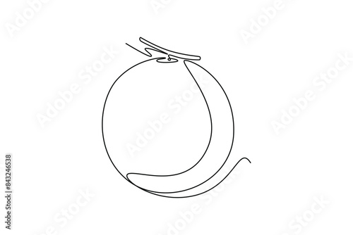 Continuous one line drawing of whole freshness healthy organic sweet melon for orchard logo identity. Fresh fruitage concept for fruit garden icon. Single line draw design vector graphic illustration