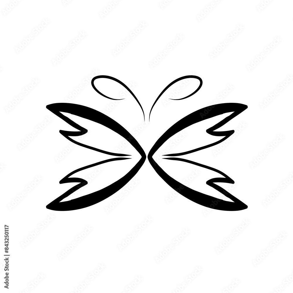 black and white butterfly black and white butterfly