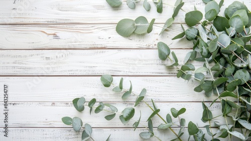 Eucalyptus branches and leaves on wooden rustic white background. Minimal background eucalyptus on white board. Flat lay, top view, copy space, generative ai