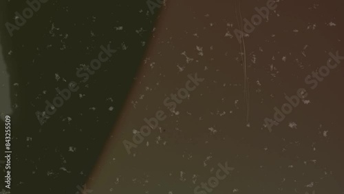 Noise, dust, and scratches film burn overlays. Dramatic visual effect.