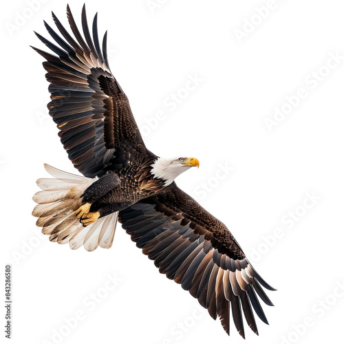 A majestic eagle, wings spread and soaring, isolated on transparent background © Haseena