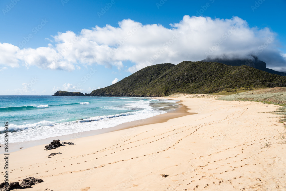 Desert beach on Lord Howe Island, Australia Desert beach on Lord Howe Island, Australia