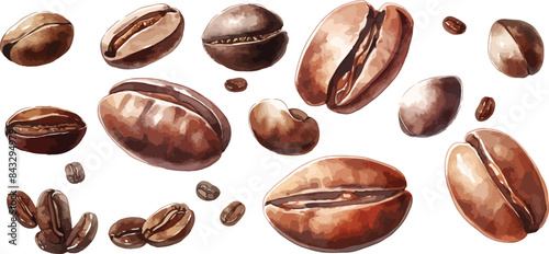 coffee seed clipart vector for graphic resources	