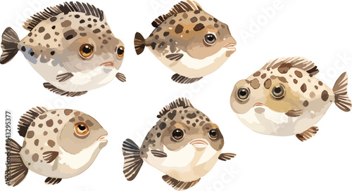 puffer fish clipart vector for graphic resources	
