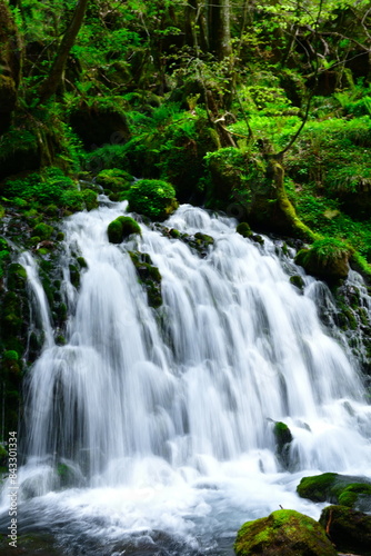元滝伏流水（秋田県）