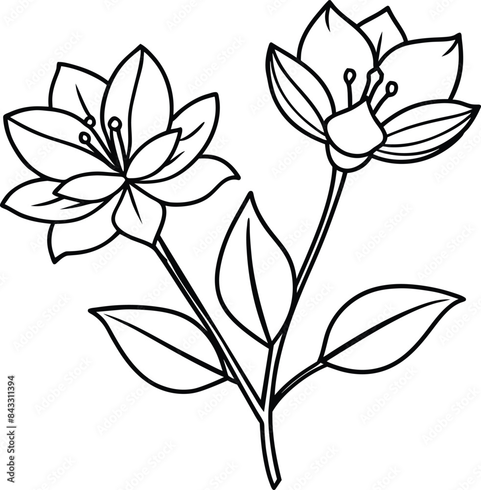 abstract background of flower isolated on white background eps 10 abstract background of flower isolated on white background eps 10