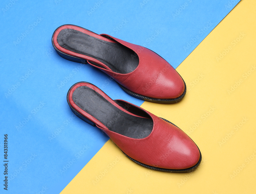 women's leather slipper mules on colorful background
women's leather slipper mules on colorful background