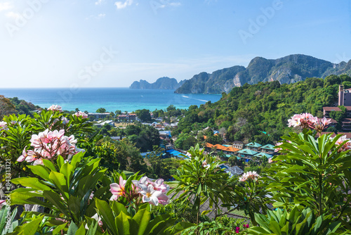 tropical island ko phi phi in thailand