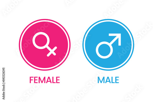 vector Male and female icon Set of two bright gender icons
