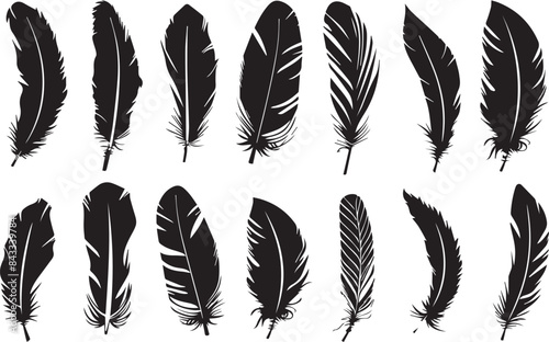 feather seamless pattern