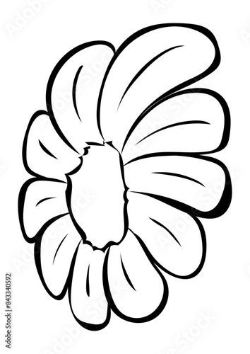 Blüte