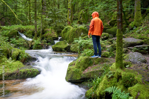 Person in orange jacket stands amidst lush green forest, moss-covered rocks, small waterfall flows, capturing nature’s tranquil beauty. Europe, Germany, Black Forest, Buhlertal, Gertelbach. © Jan