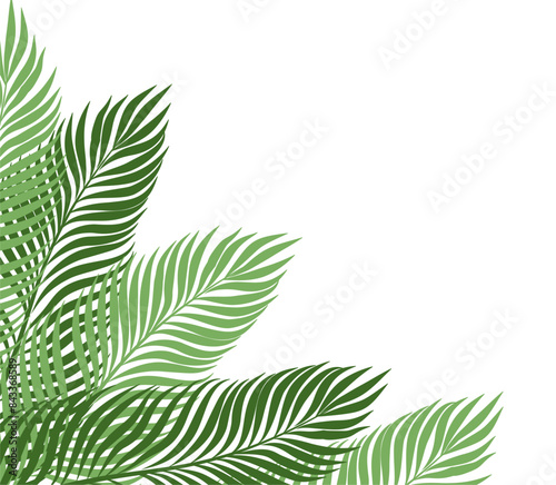 Palm Tree Leaf Border