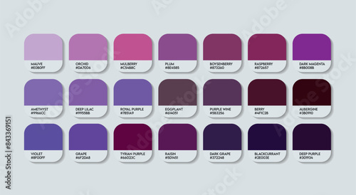 Mangosteen Color Palette, Mangosteen Color Guide Palette with Color Names. Catalog Samples of Mangosteen with RGB HEX codes and Names. Indigo Colors Palette Vector, Fashion trend Purple Color Palette
