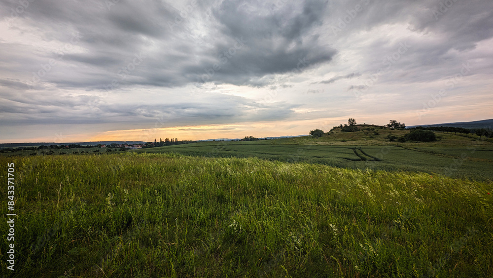 Obraz premium Meadows and fields