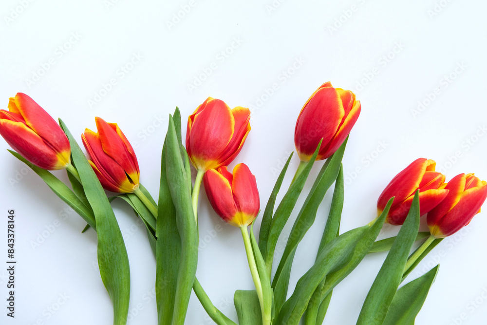 Bouquet of flowers. Yellow and red Tulips on white background. Beautiful flowers for valentines and wedding scene. Valentines and 8 March Mother Women's Day concept. Bouquet of flowers. Yellow and red Tulips on white background. Beautiful flowers for valentines and wedding scene. Valentines and 8 March Mother Women's Day concept.