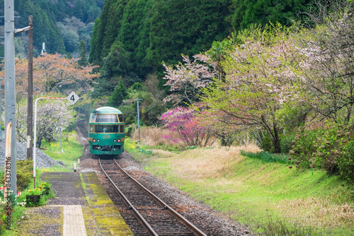 Quadro su tela Yufuin No Mori green train on railway through Bungo Nakagawa station