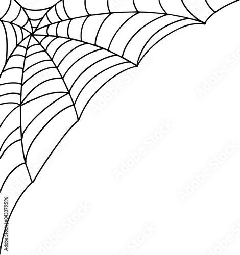 Spider web illustration decorative background