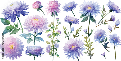 aster flower clipart vector for graphic resources	
