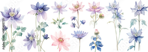 Aquilegia flower clipart vector for graphic resources	