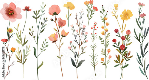 Beautiful romantic flower collection with leaves. Watercolor summer wild field flowers. Idea for wedding, fabrics, card, poster, invitation, decoration, paper design.