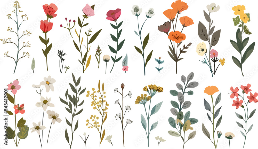 Beautiful romantic flower collection with leaves. Watercolor summer wild field flowers. Idea for wedding, fabrics, card, poster, invitation, decoration, paper design. Beautiful romantic flower collection with leaves. Watercolor summer wild field flowers. Idea for wedding, fabrics, card, poster, invitation, decoration, paper design.