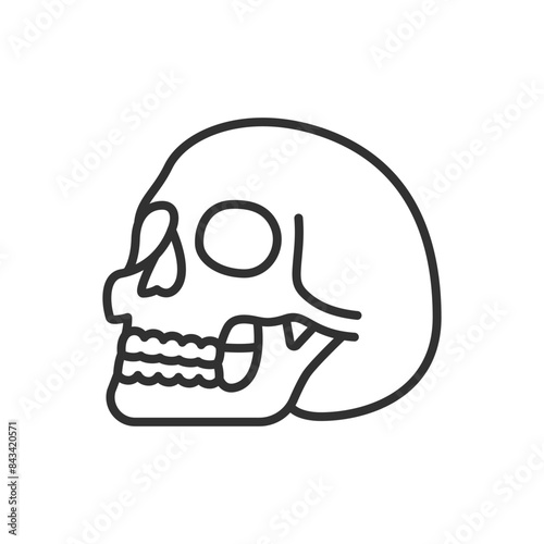 Human skull on the side, linear icon. Line with editable stroke