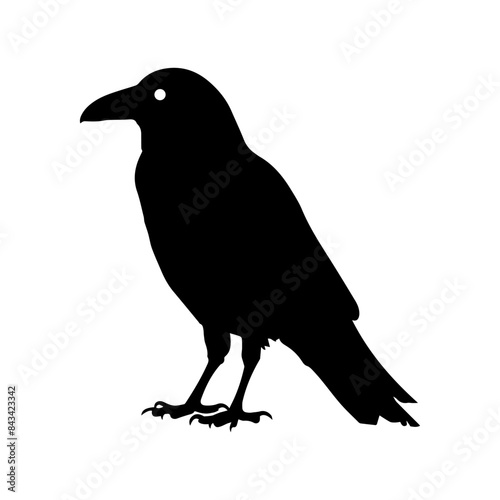 Crow raven bird vector silhouette