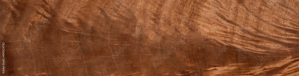 Walnut feather wood texture surface in close up Walnut feather wood texture surface in close up