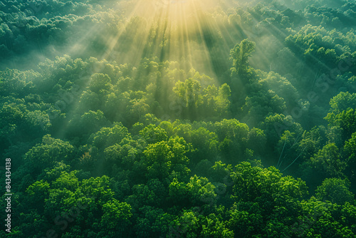 A stunning aerial view of a lush green forest canopy at dawn, with sunlight piercing through the mist, symbolizing the beauty and resilience of our planet on Earth Day.