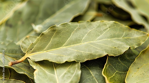 Background closeup of dried bay leaves stacked on top of each other, showcasing their. Generative Ai © Fuji