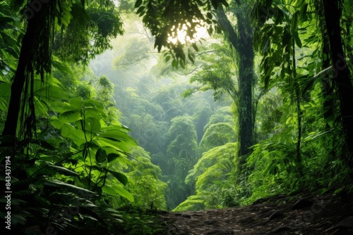 Serene and lush rainforest with dense greenery and sunlight filtering through tall trees, capturing the beauty of nature's landscape. © GenBy
