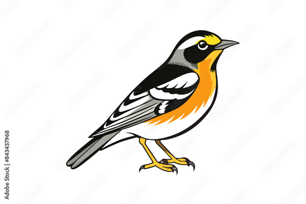 Blackburnian Warbler bird sits icon vector Blackburnian Warbler bird sits icon vector