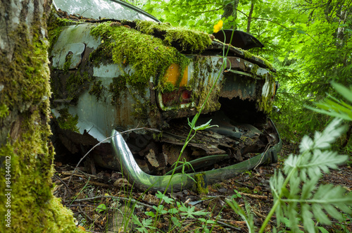 Scrap yard in forest, Abandoned old car overgrown with lush green vegetation, Rear bumper part detail, Selective focus, Båstnäs Car Cemetery in Sweden
