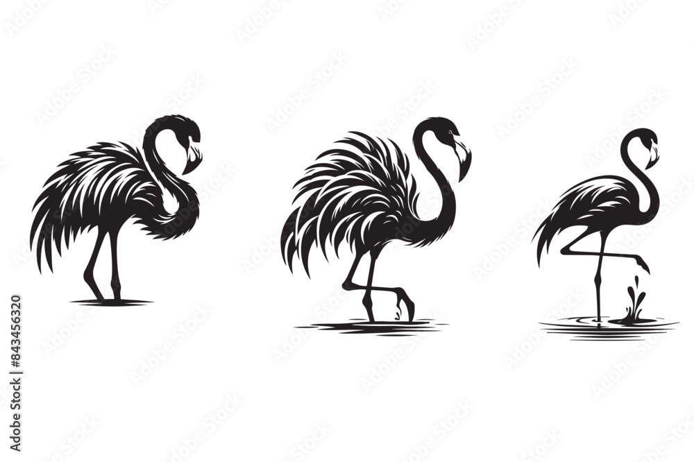 Naklejka premium Flamingo silhouette vector illustration
