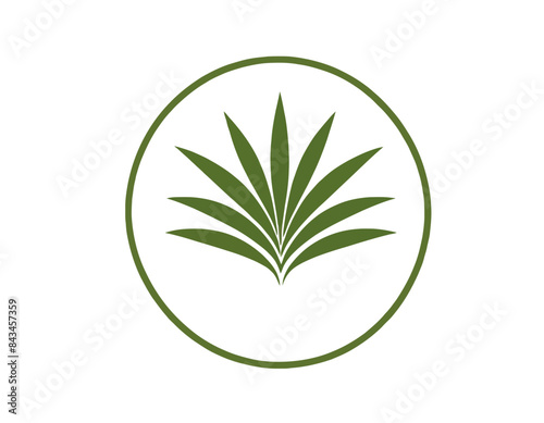 Eco logo, eko, ekologiczne logo, ekologia logo, ekologia, sałatka, warzywa, rośliny, logo, plants logo