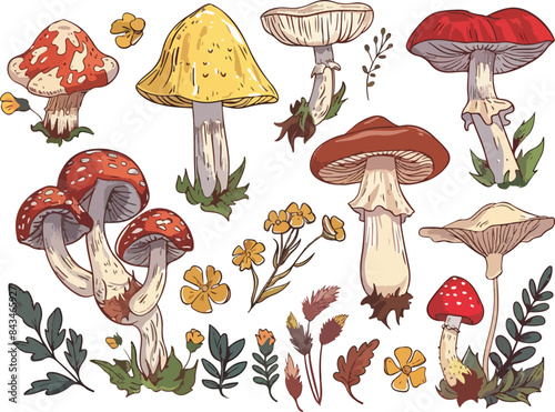  doodle mushroom clipart
