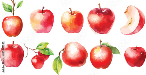 apple blossom watercolor clipart
