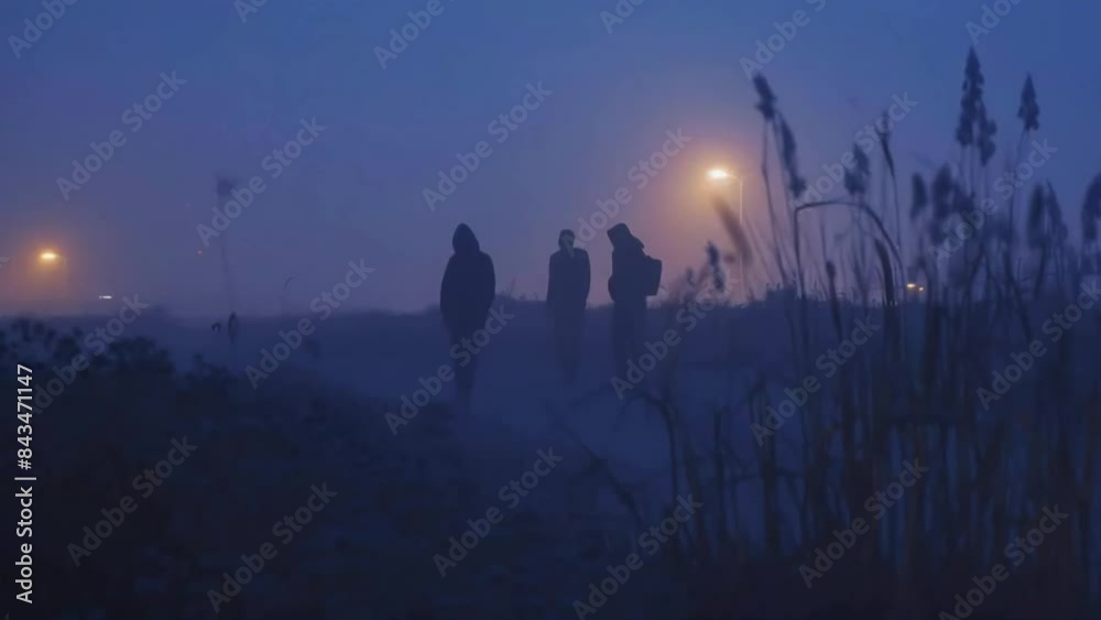 calm night ambient, outdoor night ambient, calming night, relaxing nature, lofi animation, relaxing videos, stock videos, life stock, calm morning, ambient night, soft raining calm night ambient, outdoor night ambient, calming night, relaxing nature, lofi animation, relaxing videos, stock videos, life stock, calm morning, ambient night, soft raining