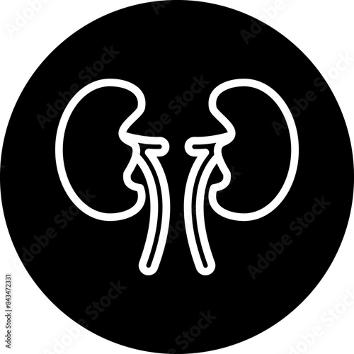 Kidney Icon Style