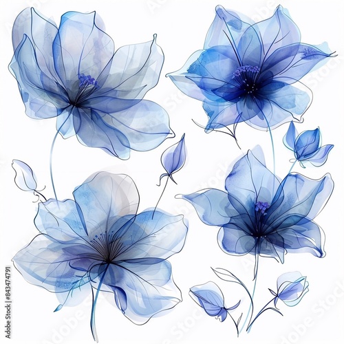 Collection blue roses flowers, painted in watercolor, white background