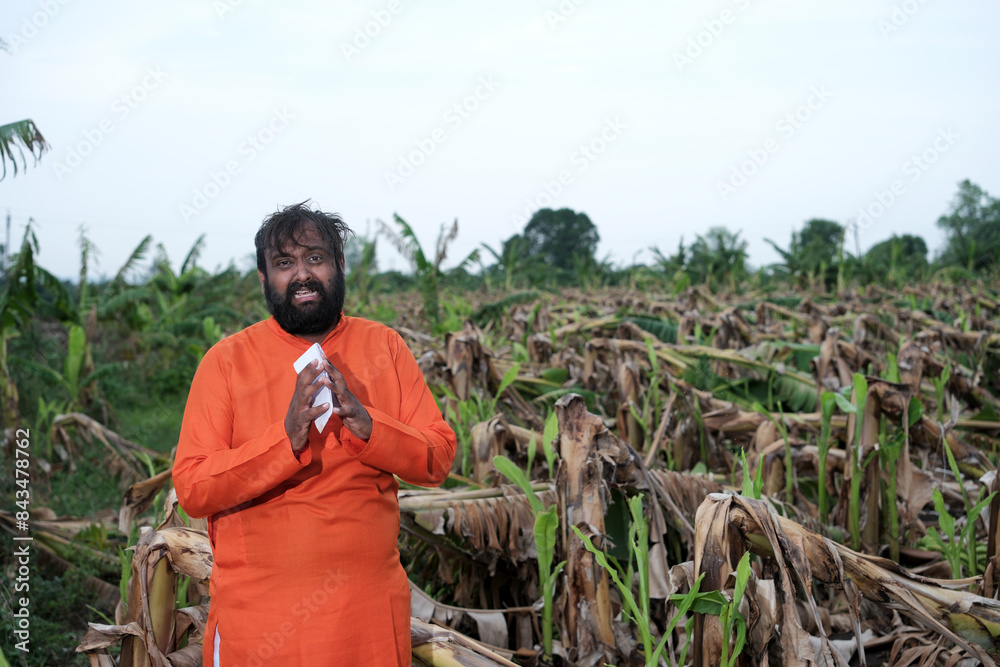 Fototapeta premium Indian Farmer Surveying Crop Destruction After Natural Disaster.