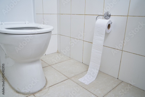 Toilet bowl and toilet paper in a white bathroom