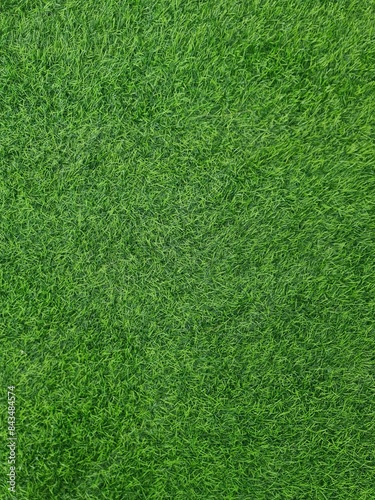 green grass pattern texture,green grass background ,top view background of grass garden, green backdrop, lawn for football field, golf course lawn,football