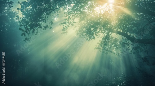 A tranquil forest with sunlight streaming through the trees, offering a serene background for text placement, Generative AI